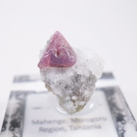 ���󥶥˥��� ���ԥͥ�