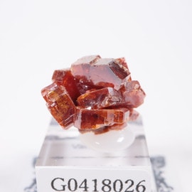 ����å��� �Хʥǥ��ʥ���