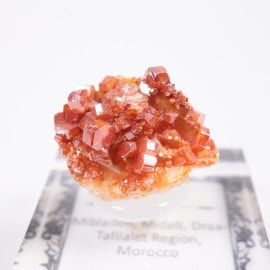 ����å��� �Хʥǥ��ʥ���