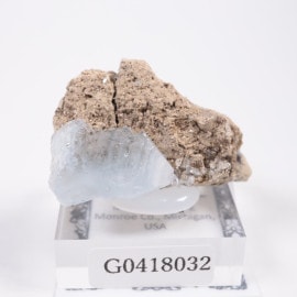 �ߥ����󽣻� ���쥹�ƥ���