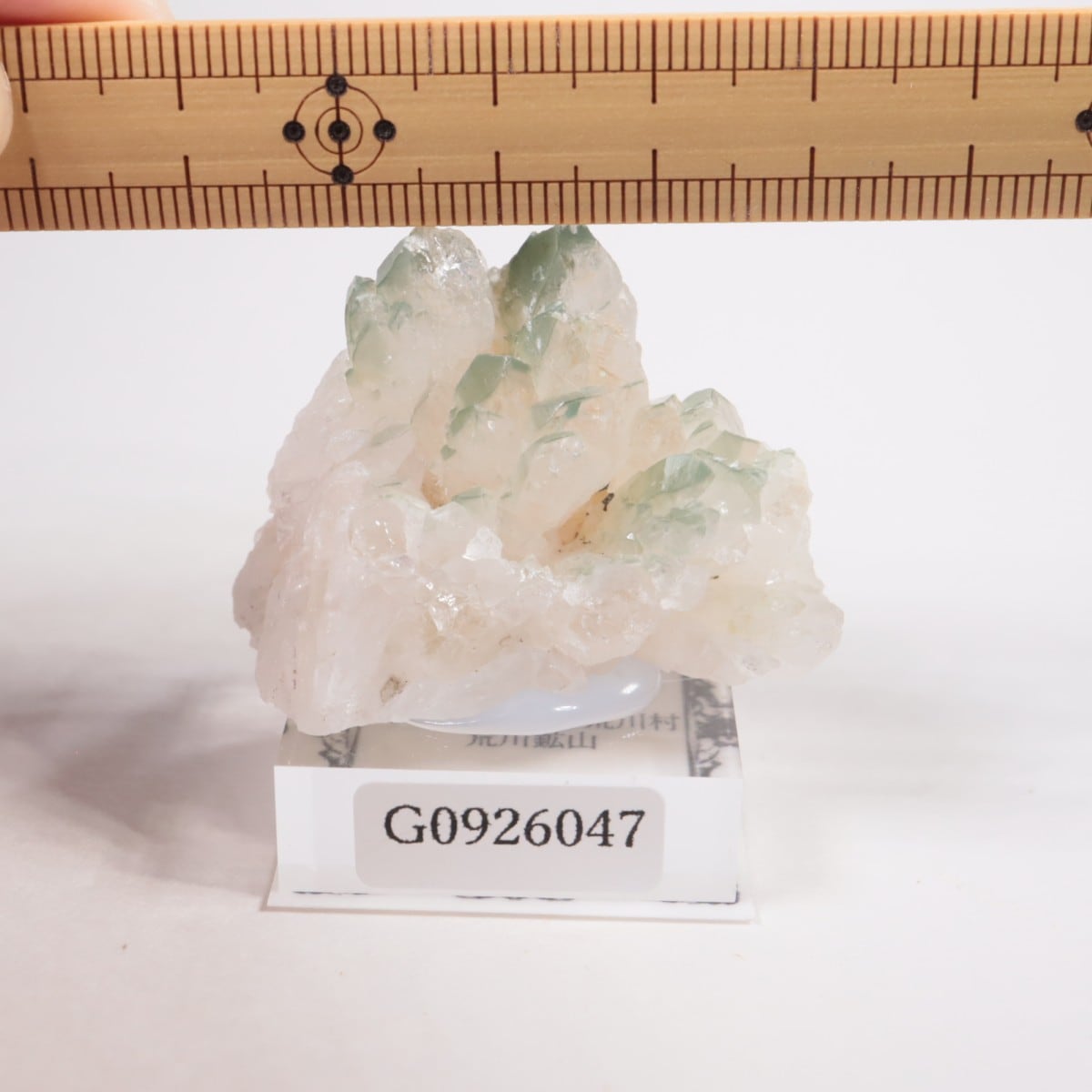 荒川鉱山産 緑水晶 | 【新着】 | ほたるみねらるオンラインショップ