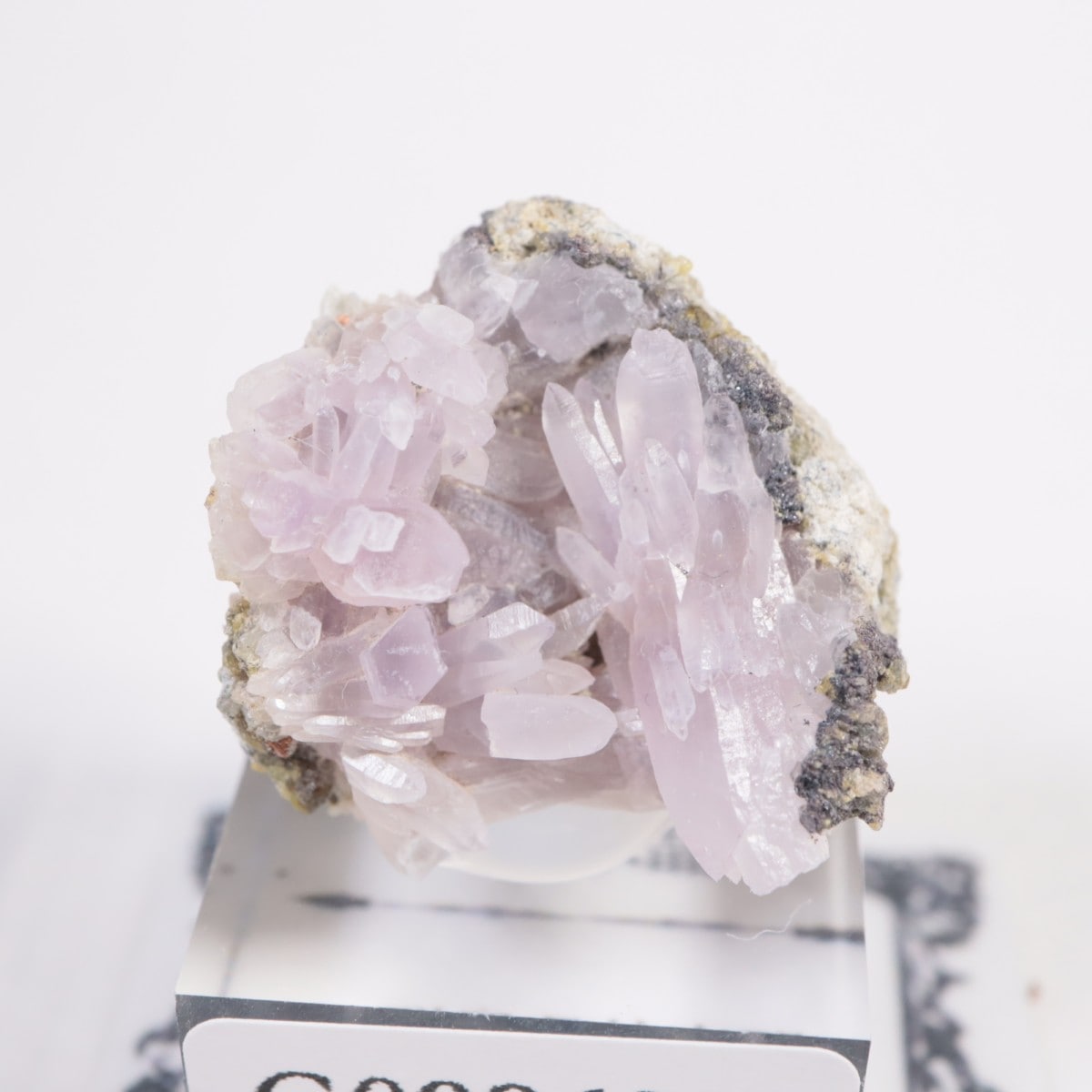 【極美・超生命力】ナミビア産 骸骨紫水晶 エレスチャル アメジスト 鉱物標本 南牧村産 紫水晶 | 鉱物標本,ア行,アメシスト/紫水晶 | ほたるみねらる