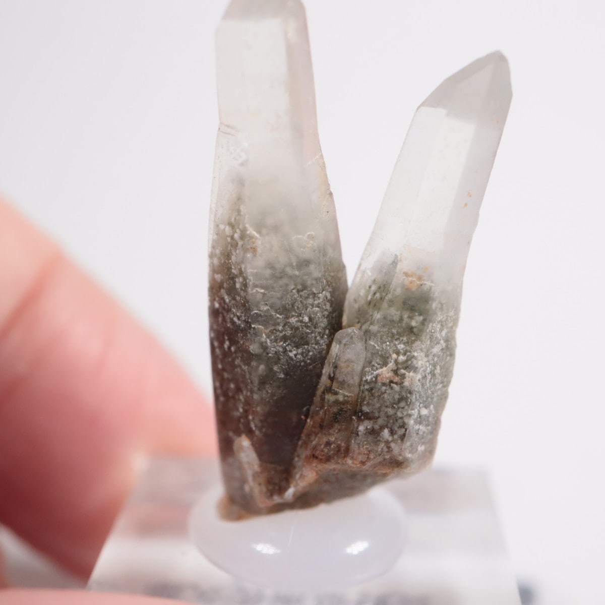 甲武信鉱山産 緑水晶 | 鉱物標本,カ行,クォーツ/水晶 | ほたるみねらる