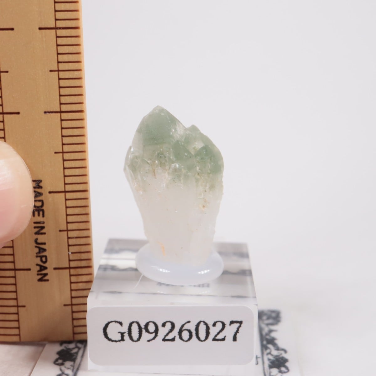 荒川鉱山産 緑水晶 | 鉱物標本,カ行,クォーツ/水晶 | ほたるみねらる
