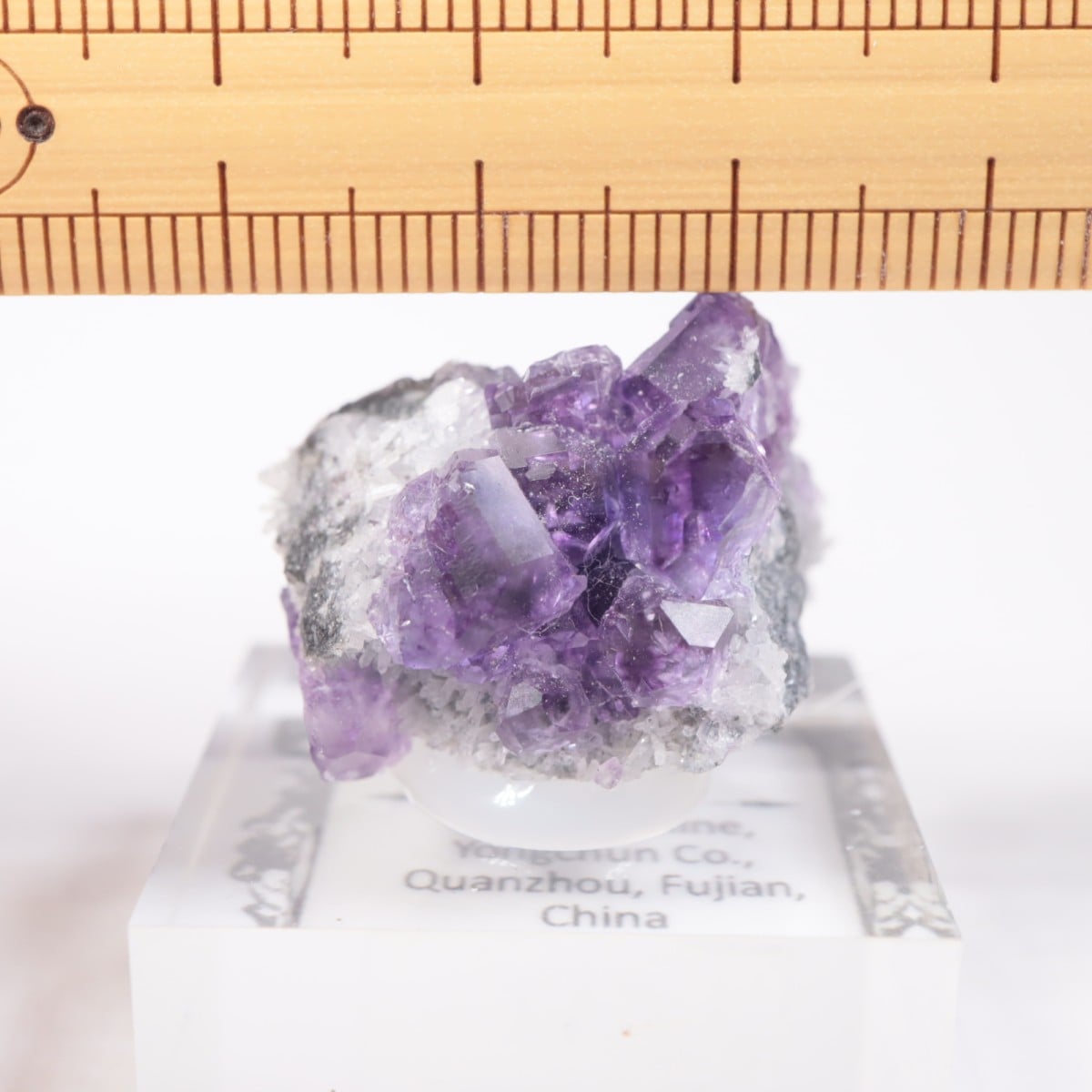 フローライト結晶 紫白 約8cm Xia Yang鉱山 フローライト | 【新着】 | ほたるみねらるオンライン