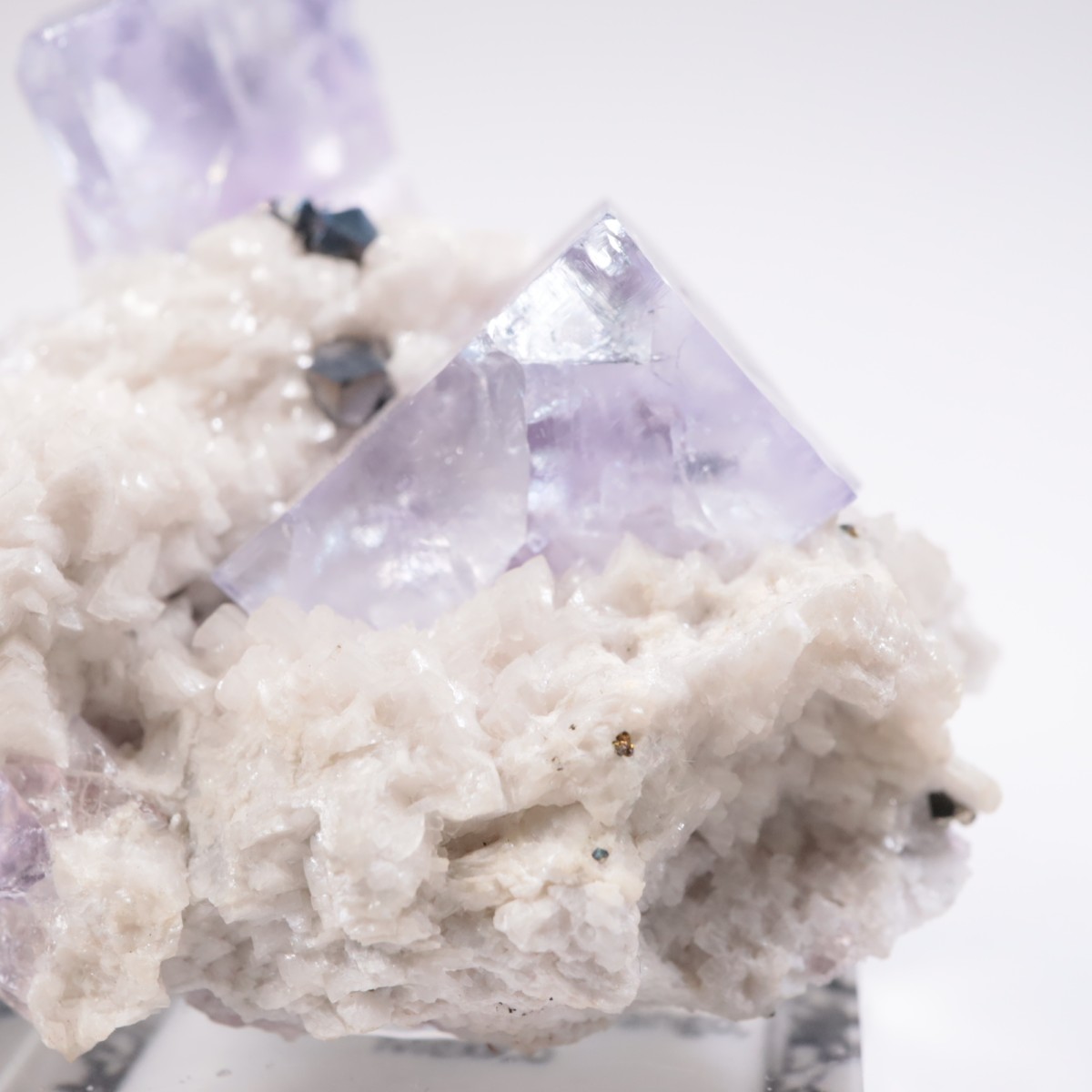 Ojuela�ۻ��� �ե����饤��