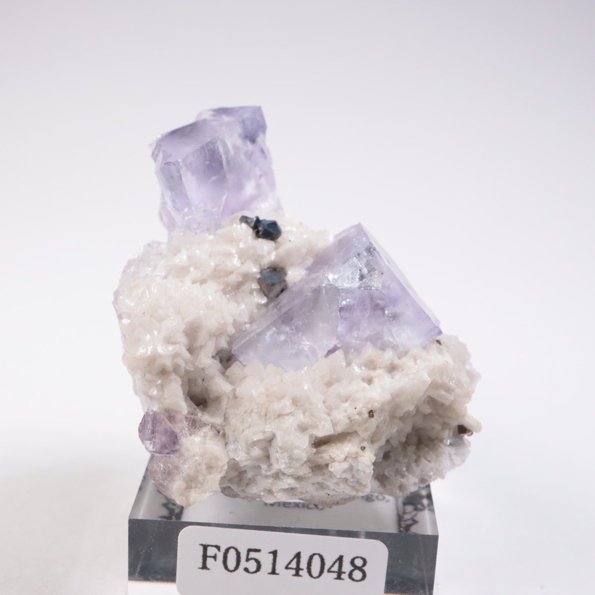 Ojuela�ۻ��� �ե����饤��