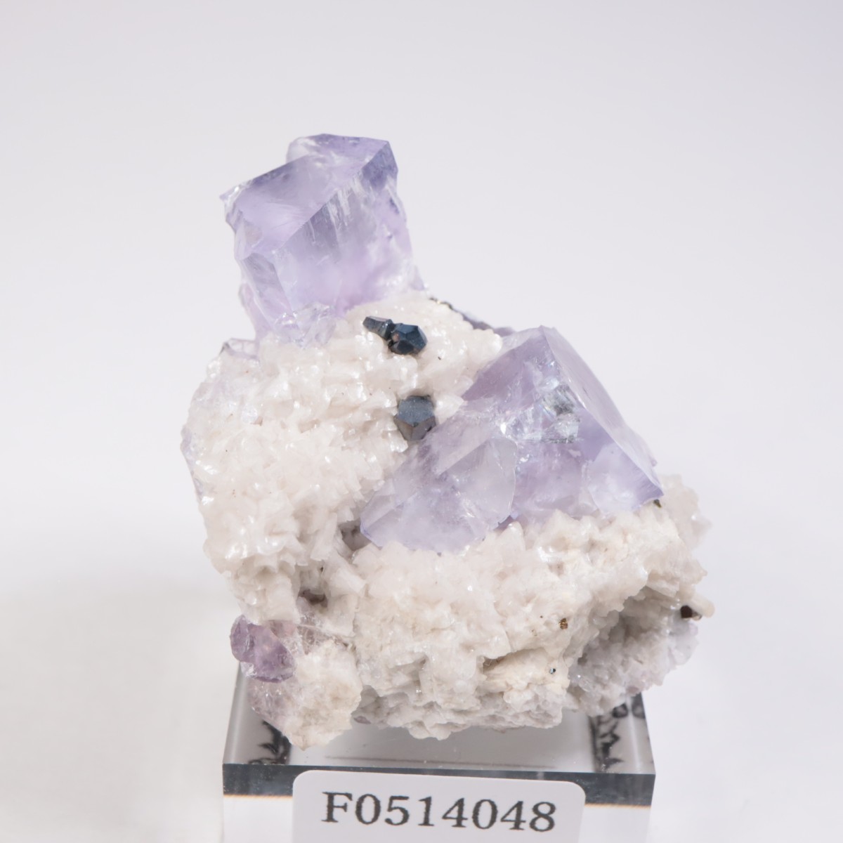 Ojuela�ۻ��� �ե����饤��