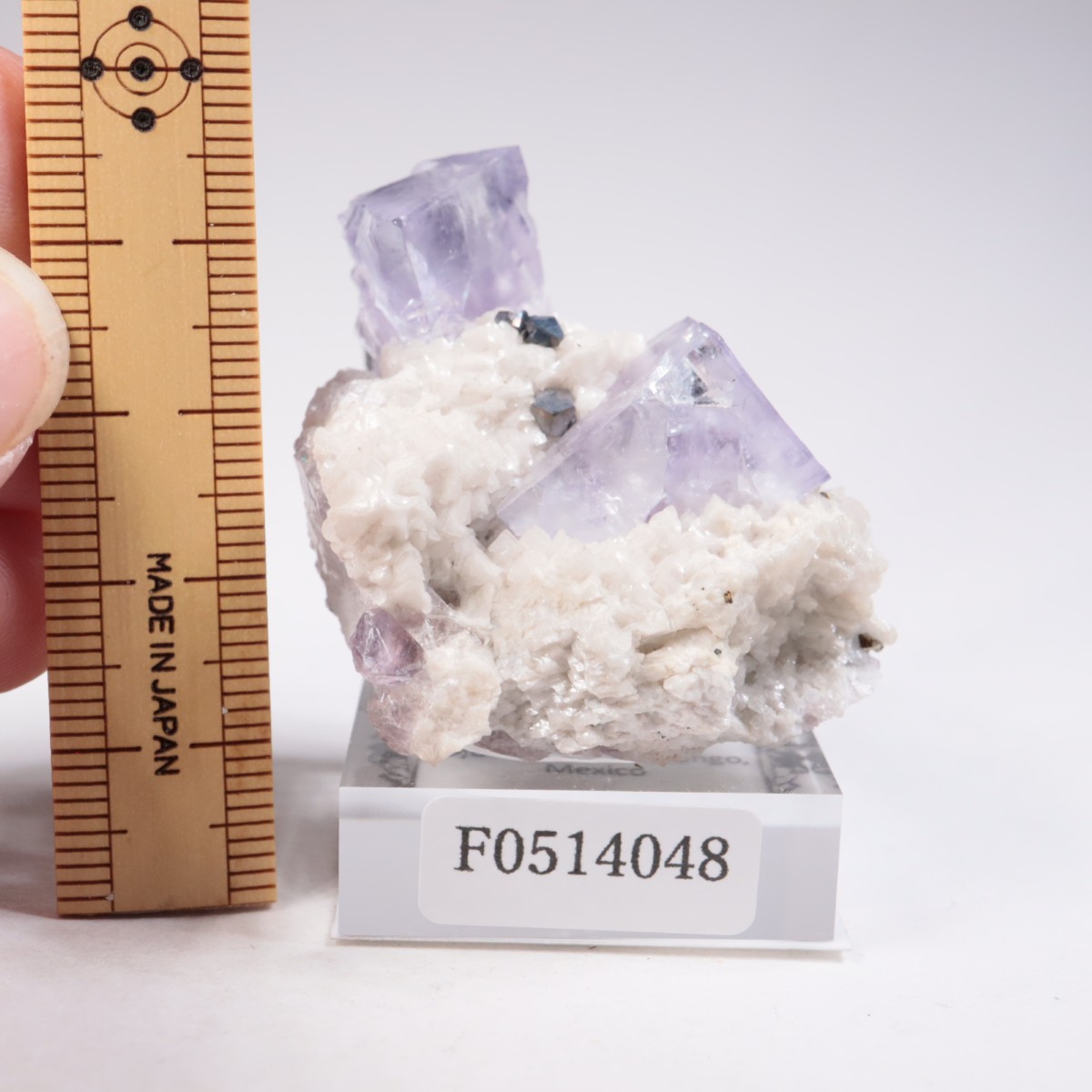 Ojuela�ۻ��� �ե����饤��