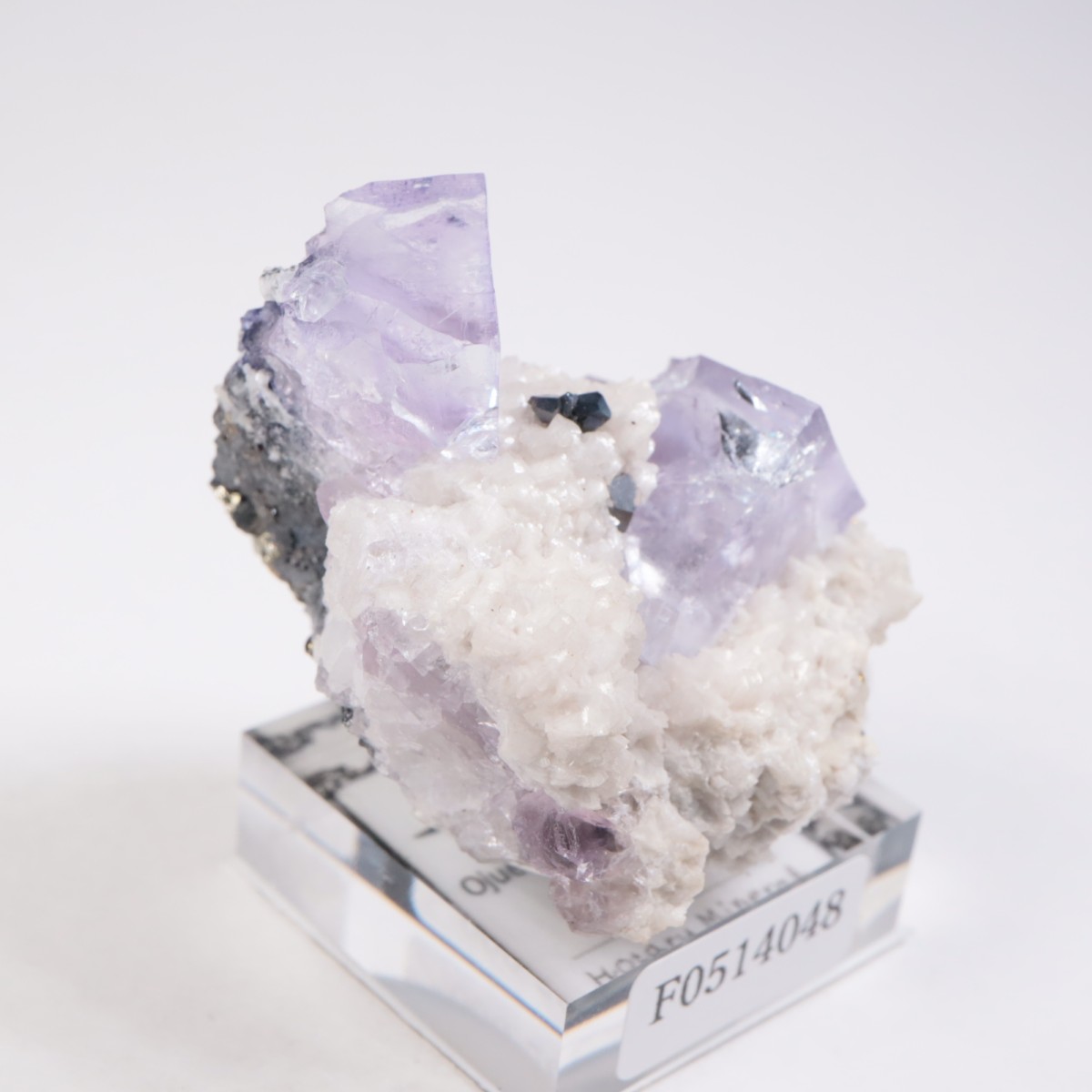 Ojuela�ۻ��� �ե����饤��