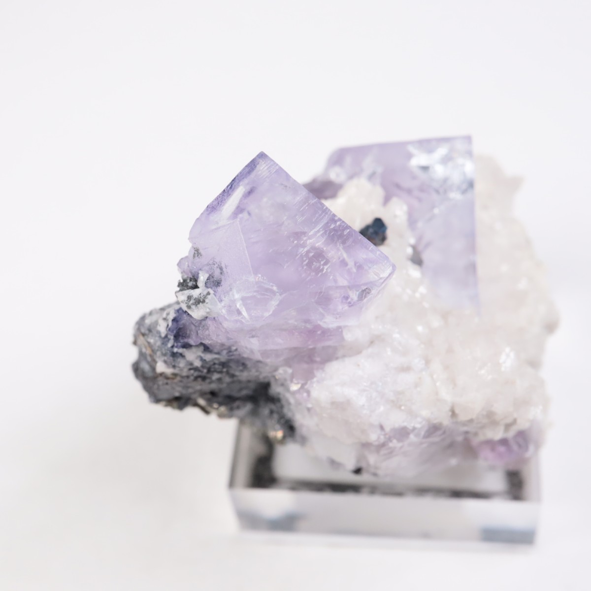 Ojuela�ۻ��� �ե����饤��