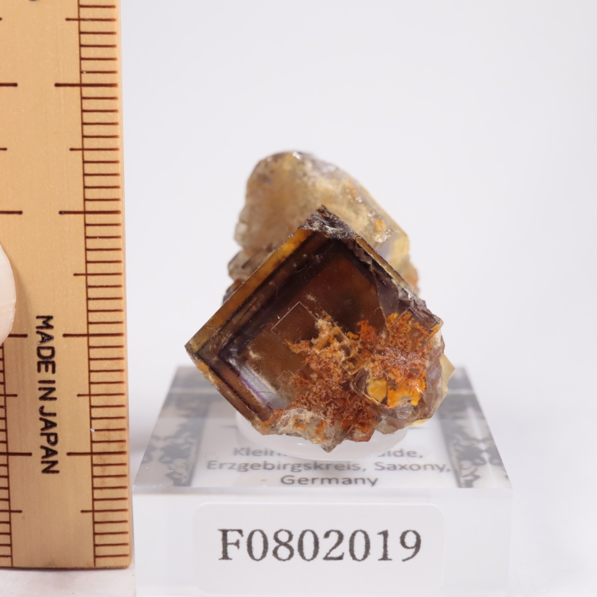 �ɥ��Ļ� �ե����饤��