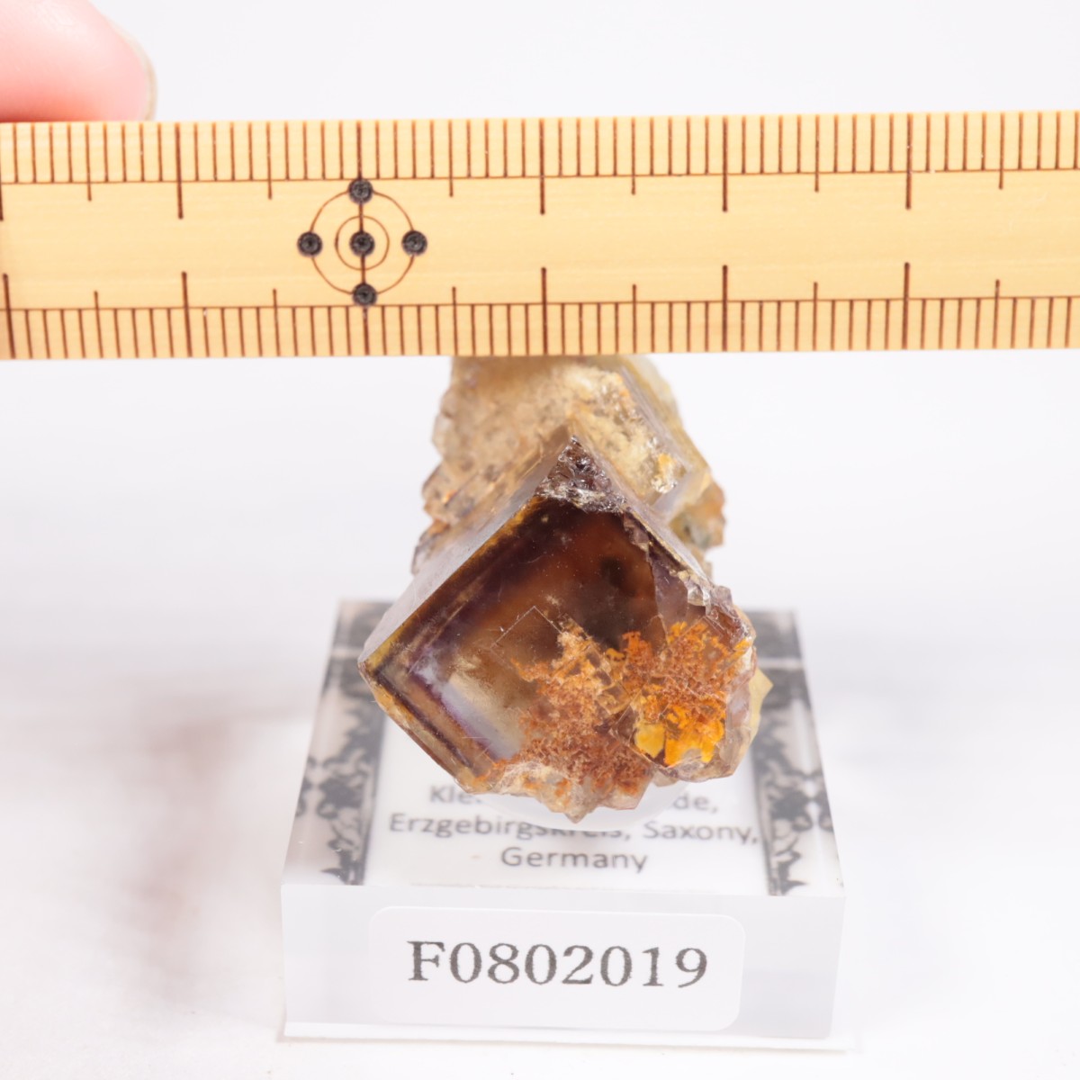 �ɥ��Ļ� �ե����饤��