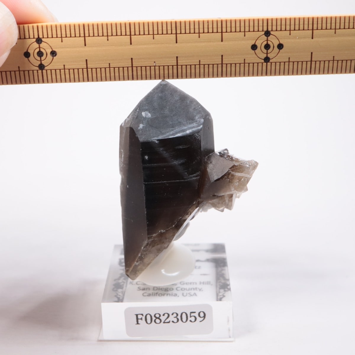 ����ե���˥��� ���⡼������������