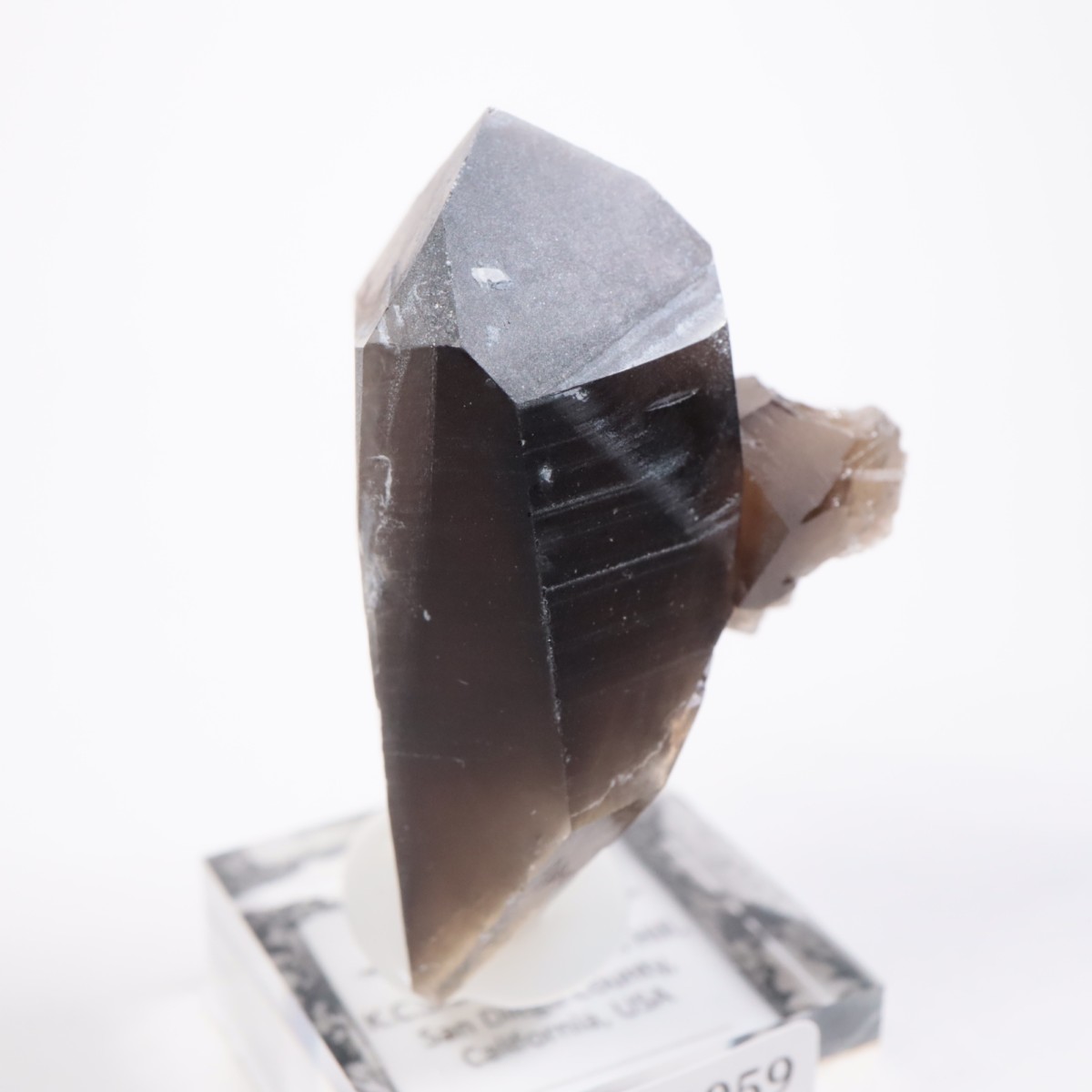 ����ե���˥��� ���⡼������������