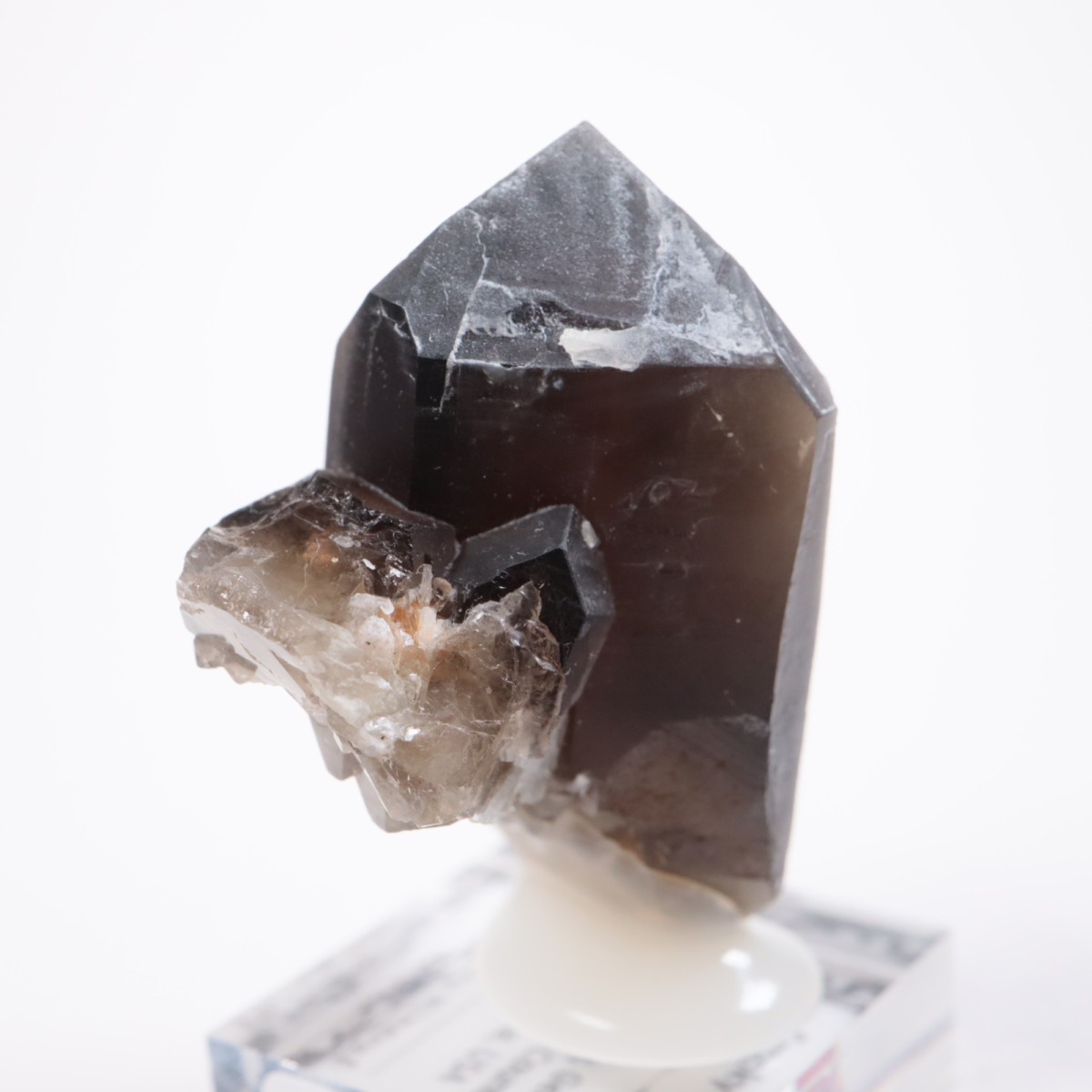 ����ե���˥��� ���⡼������������