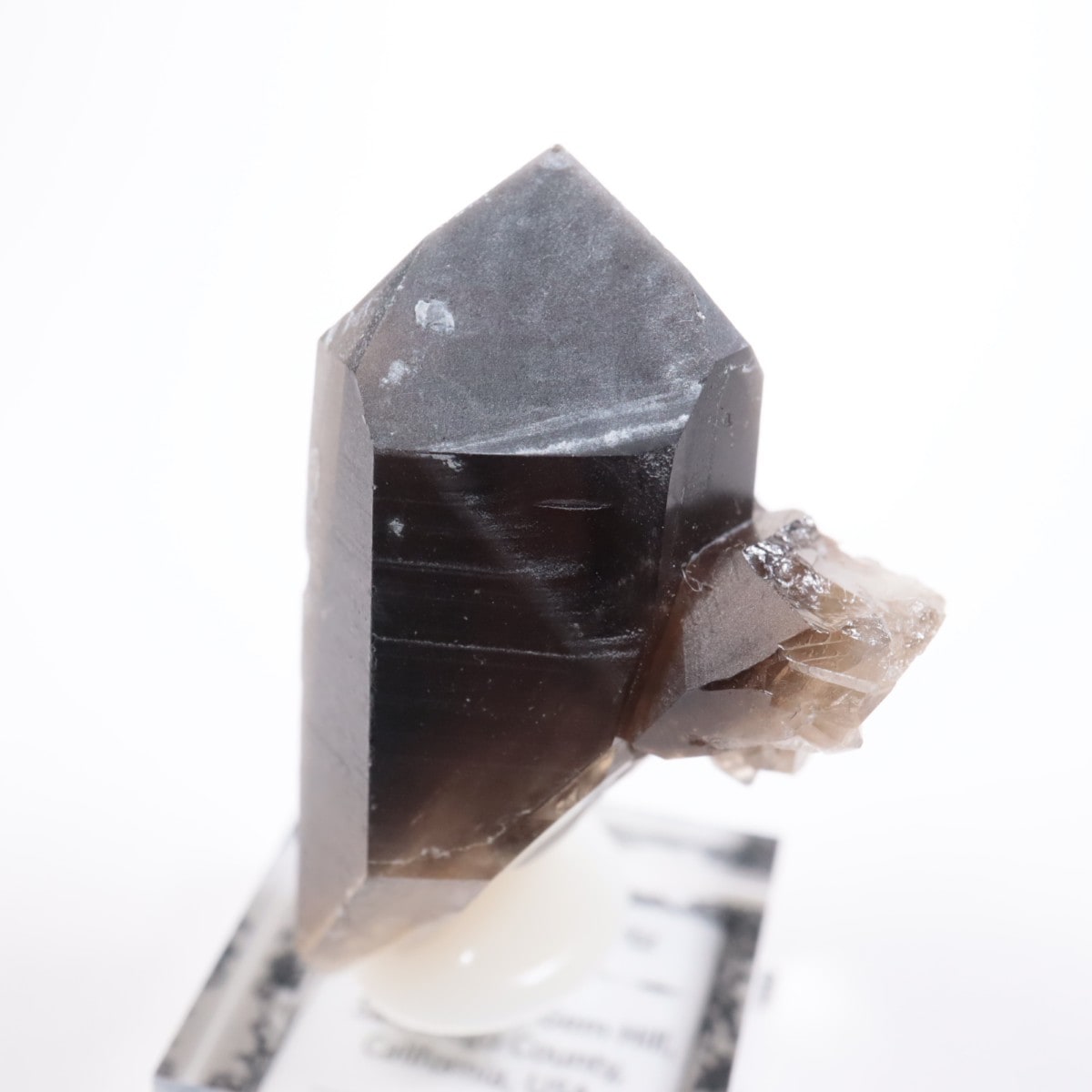 ����ե���˥��� ���⡼������������