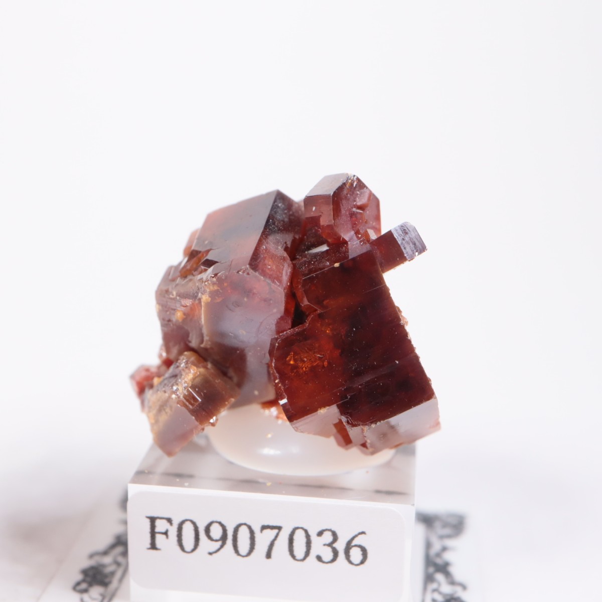 ����å��� �Хʥ�����ۡʥХʥǥ��ʥ��ȡ�