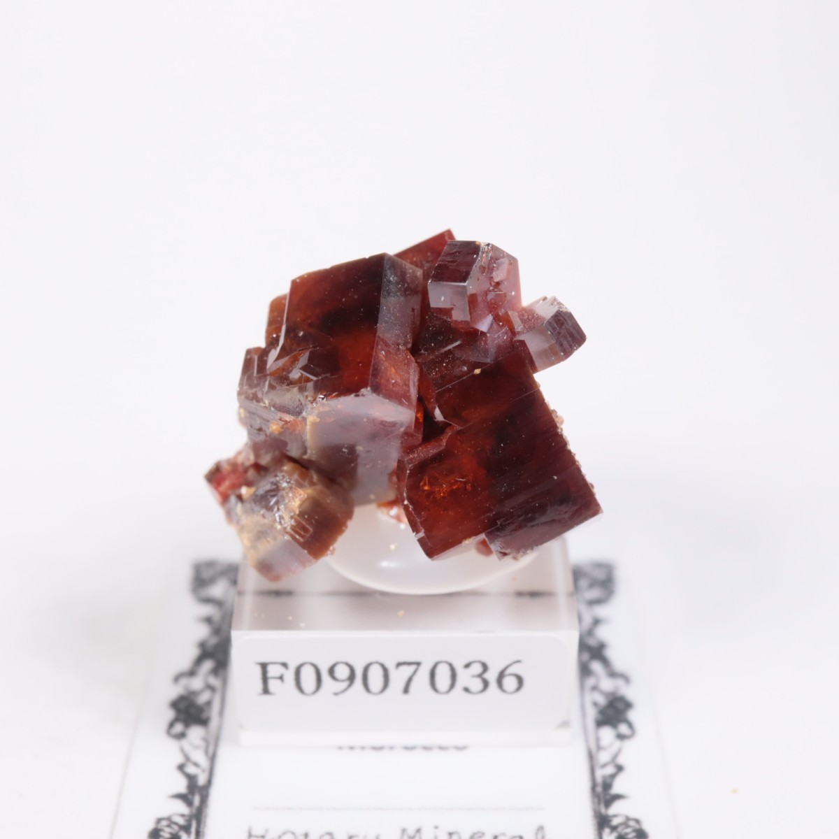 ����å��� �Хʥ�����ۡʥХʥǥ��ʥ��ȡ�