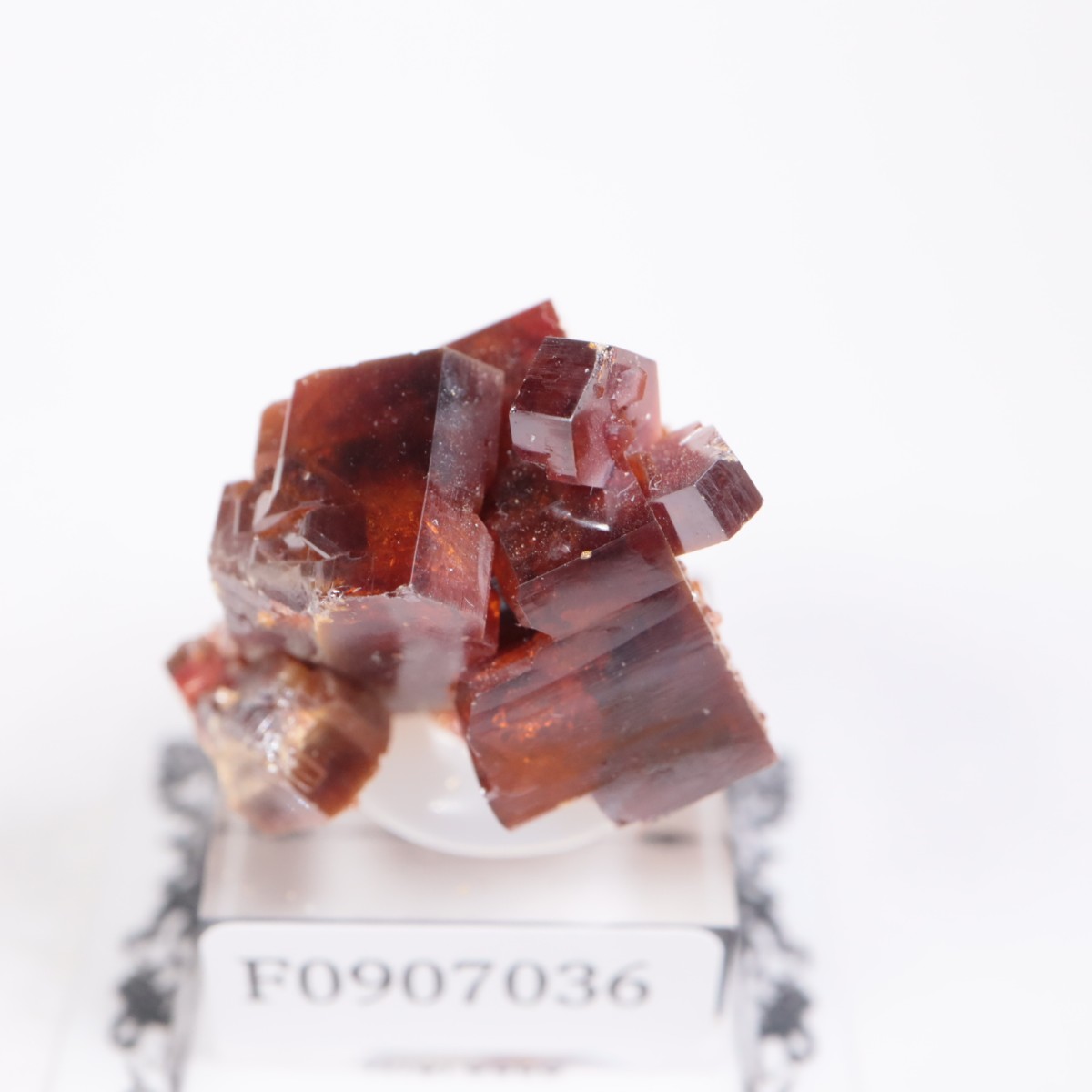 ����å��� �Хʥ�����ۡʥХʥǥ��ʥ��ȡ�