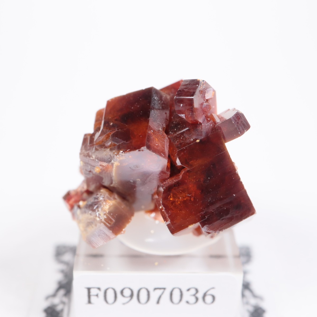 ����å��� �Хʥ�����ۡʥХʥǥ��ʥ��ȡ�