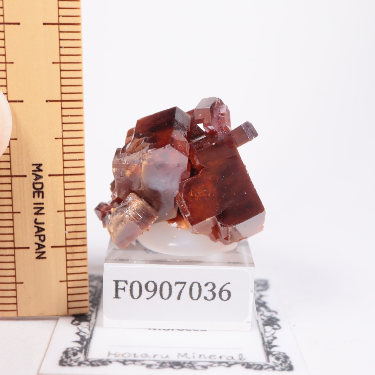 ����å��� �Хʥ�����ۡʥХʥǥ��ʥ��ȡ�