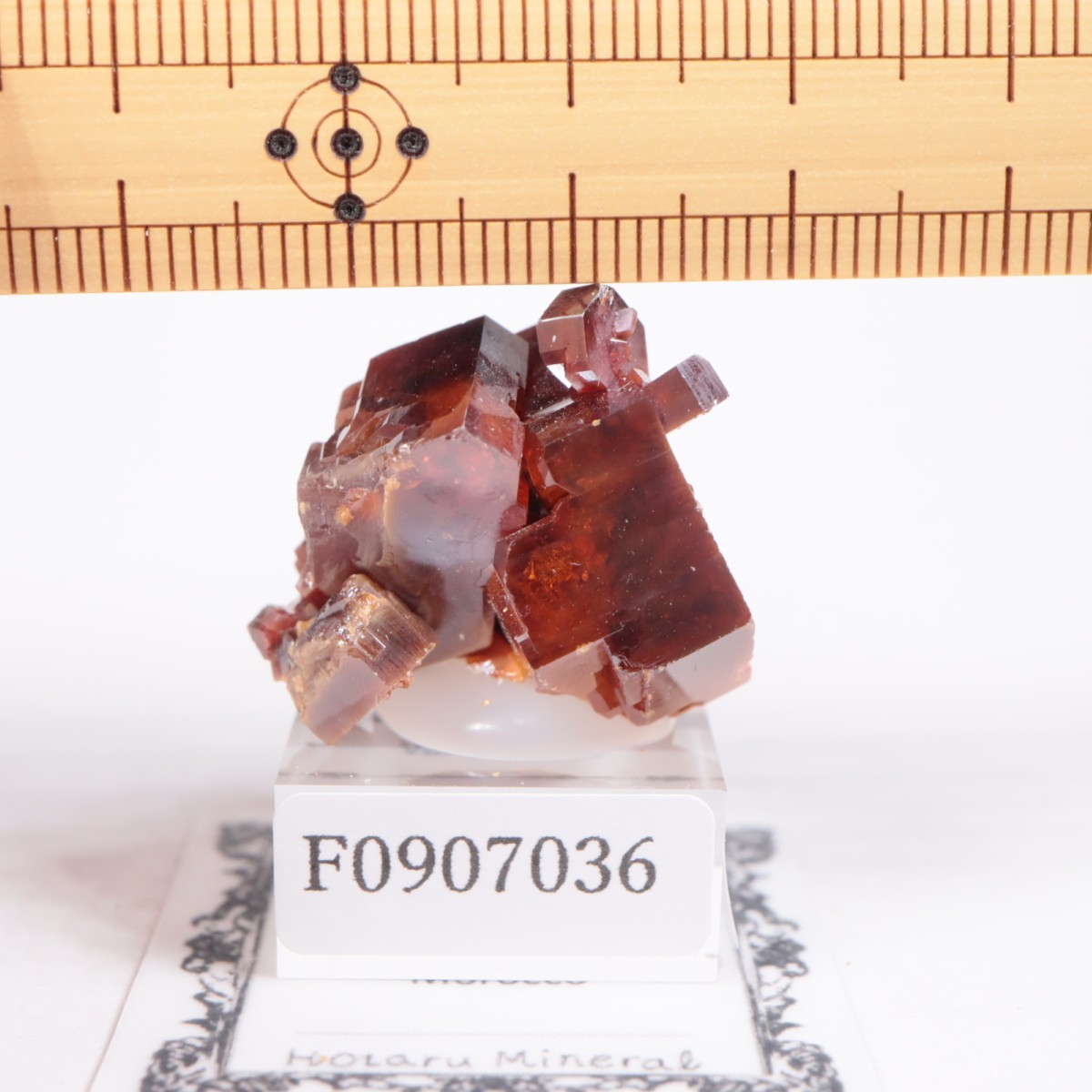 ����å��� �Хʥ�����ۡʥХʥǥ��ʥ��ȡ�