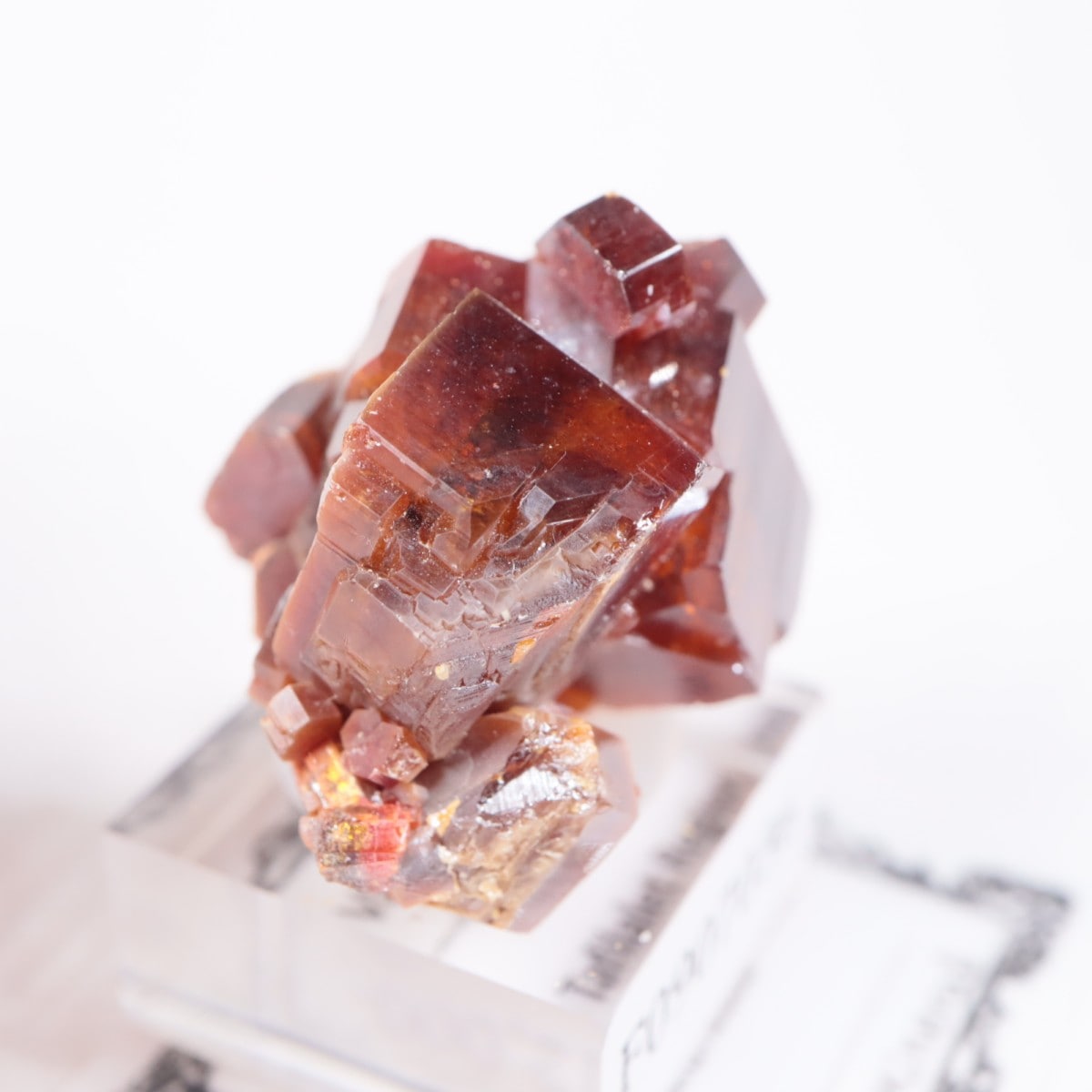 ����å��� �Хʥ�����ۡʥХʥǥ��ʥ��ȡ�