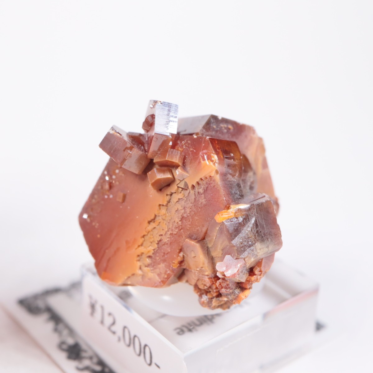 ����å��� �Хʥ�����ۡʥХʥǥ��ʥ��ȡ�