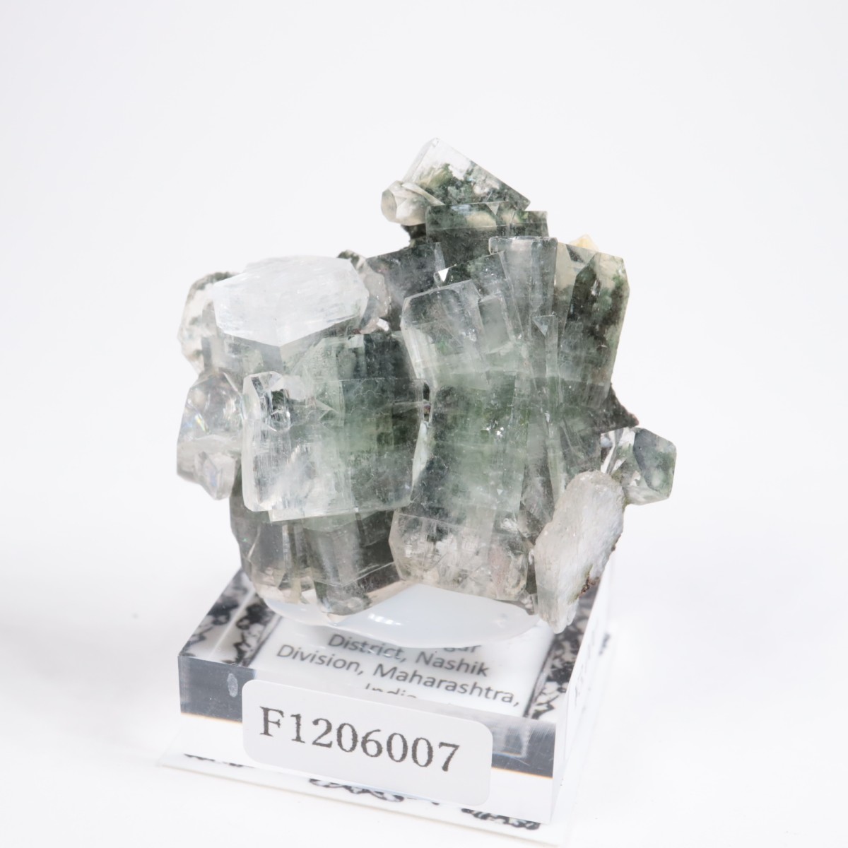 ����ɻ� ���ݥե��饤��