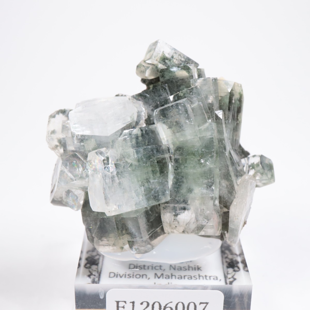 ����ɻ� ���ݥե��饤��