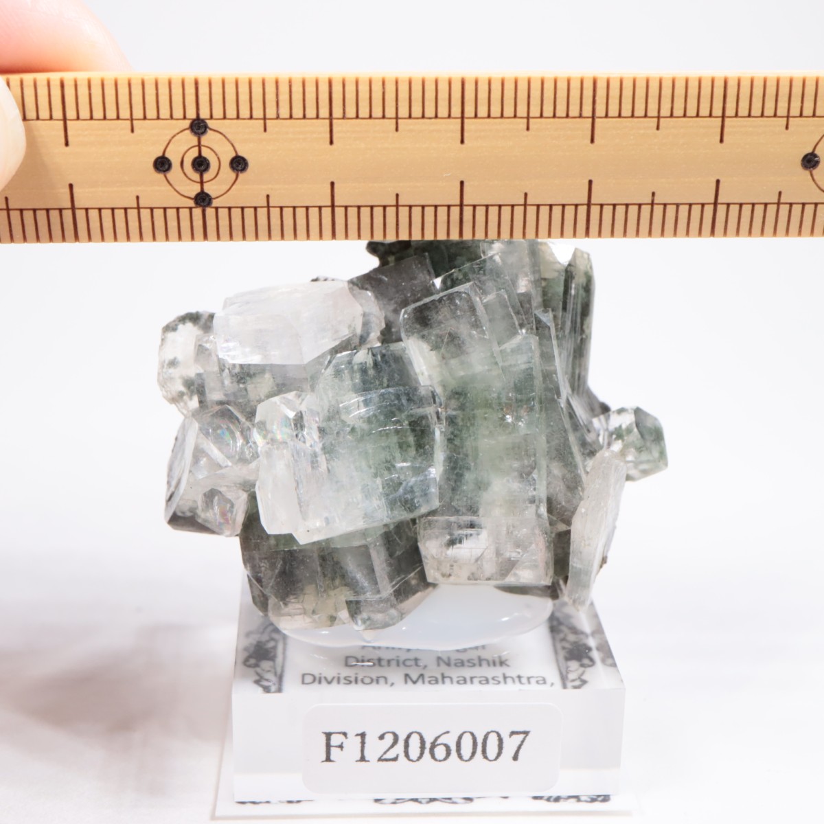 ����ɻ� ���ݥե��饤��