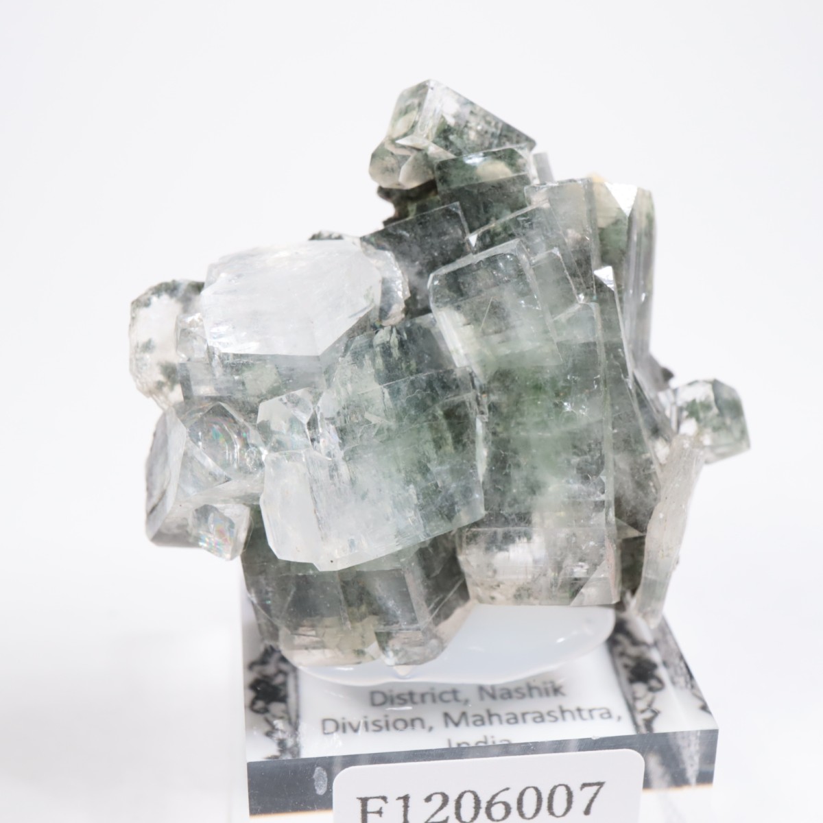 ����ɻ� ���ݥե��饤��