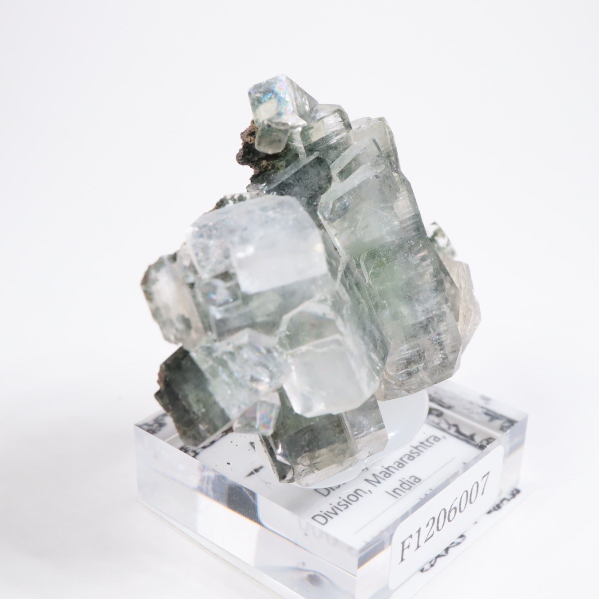 ����ɻ� ���ݥե��饤��