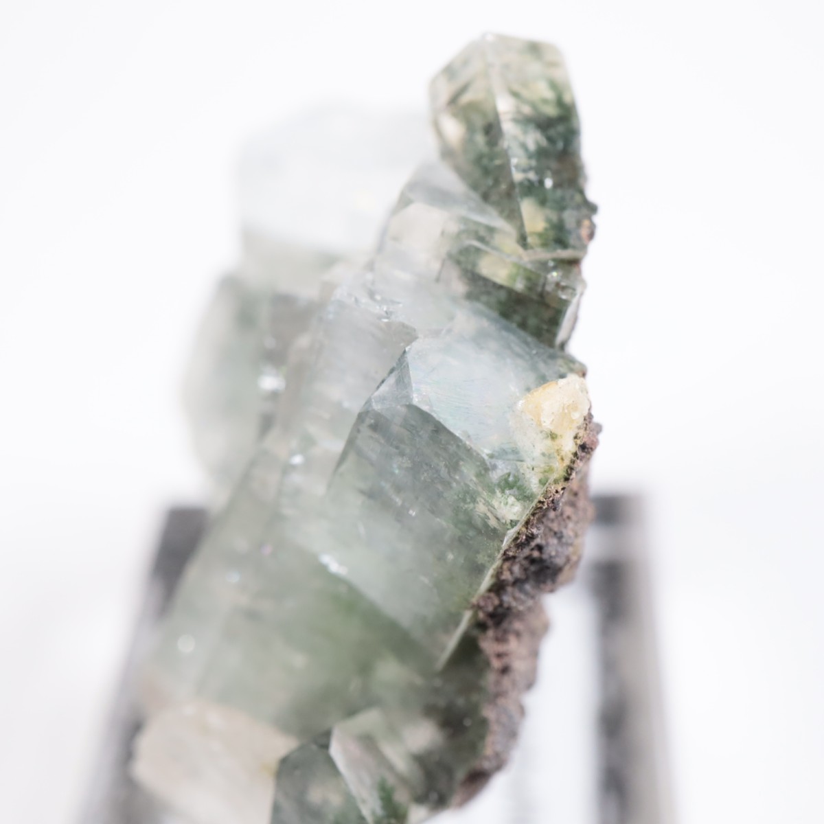 ����ɻ� ���ݥե��饤��