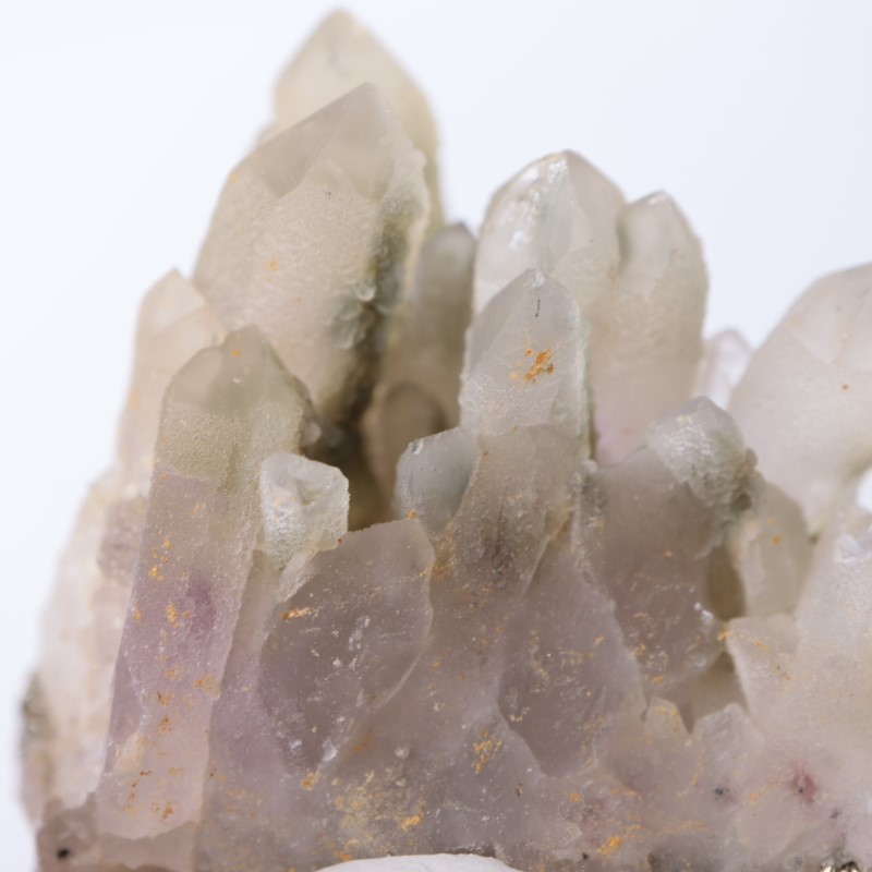 �֥륬�ꥢ�������᥷���ȡ��������饤��