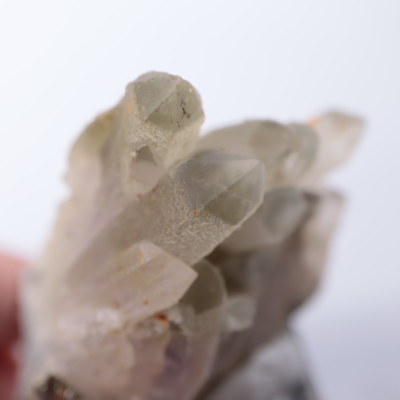 �֥륬�ꥢ�������᥷���ȡ��������饤��