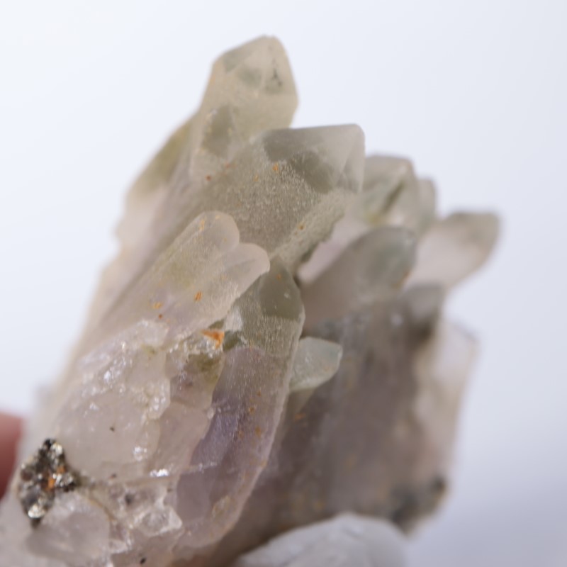 �֥륬�ꥢ�������᥷���ȡ��������饤��