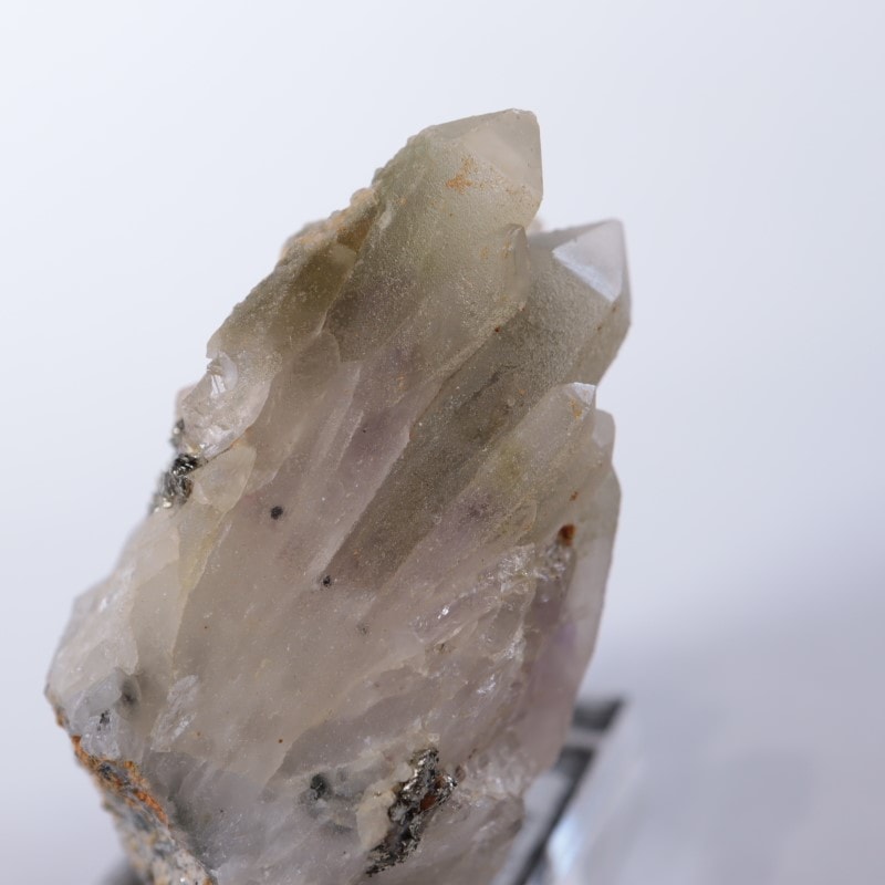 �֥륬�ꥢ�������᥷���ȡ��������饤��