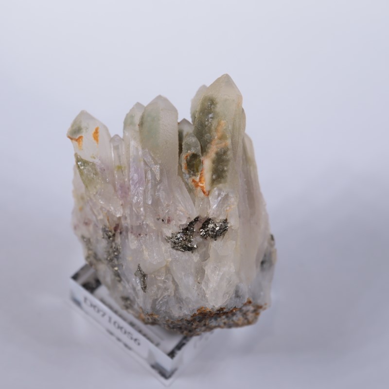 �֥륬�ꥢ�������᥷���ȡ��������饤��