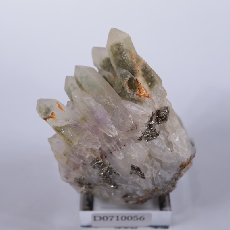 �֥륬�ꥢ�������᥷���ȡ��������饤��