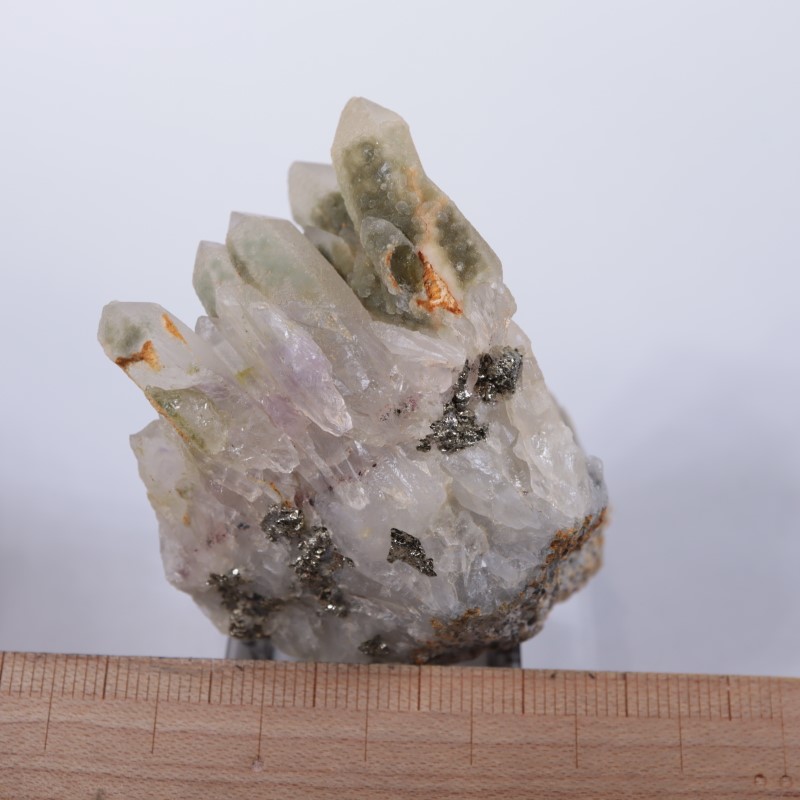 �֥륬�ꥢ�������᥷���ȡ��������饤��