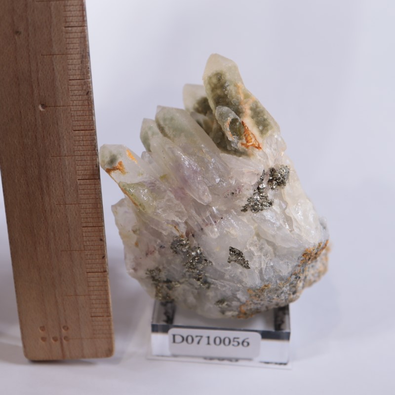 �֥륬�ꥢ�������᥷���ȡ��������饤��