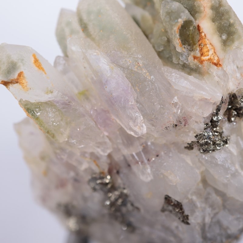 �֥륬�ꥢ�������᥷���ȡ��������饤��