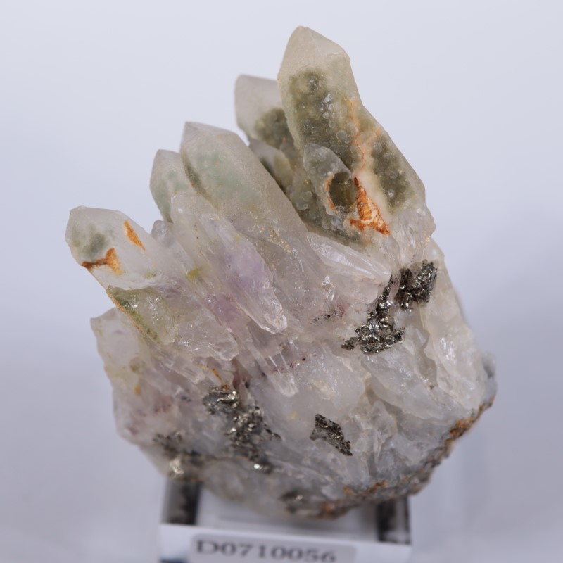 �֥륬�ꥢ�������᥷���ȡ��������饤��