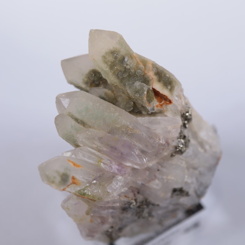 �֥륬�ꥢ�������᥷���ȡ��������饤��