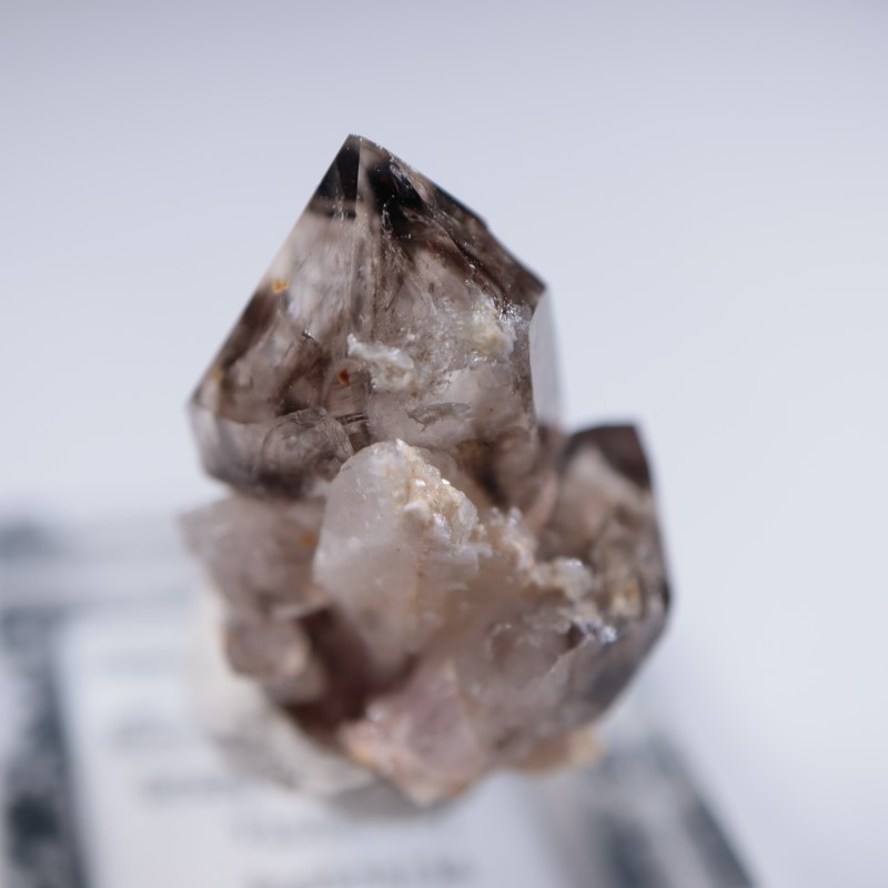 オーストラリア産 モララ水晶 | 鉱物標本,サ行,スモーキー