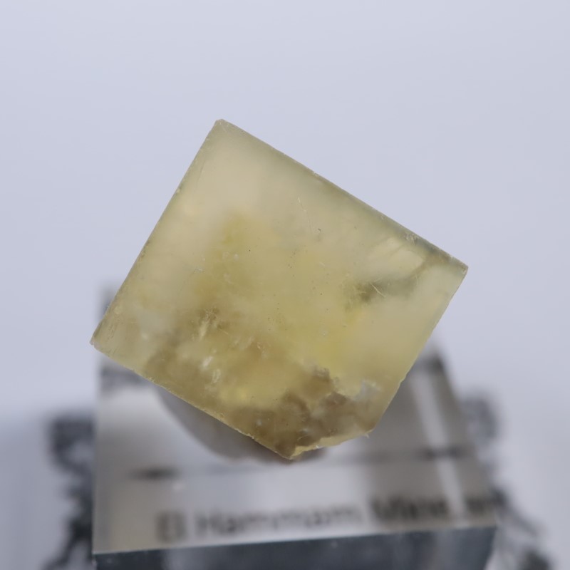 ����å������ե����饤��