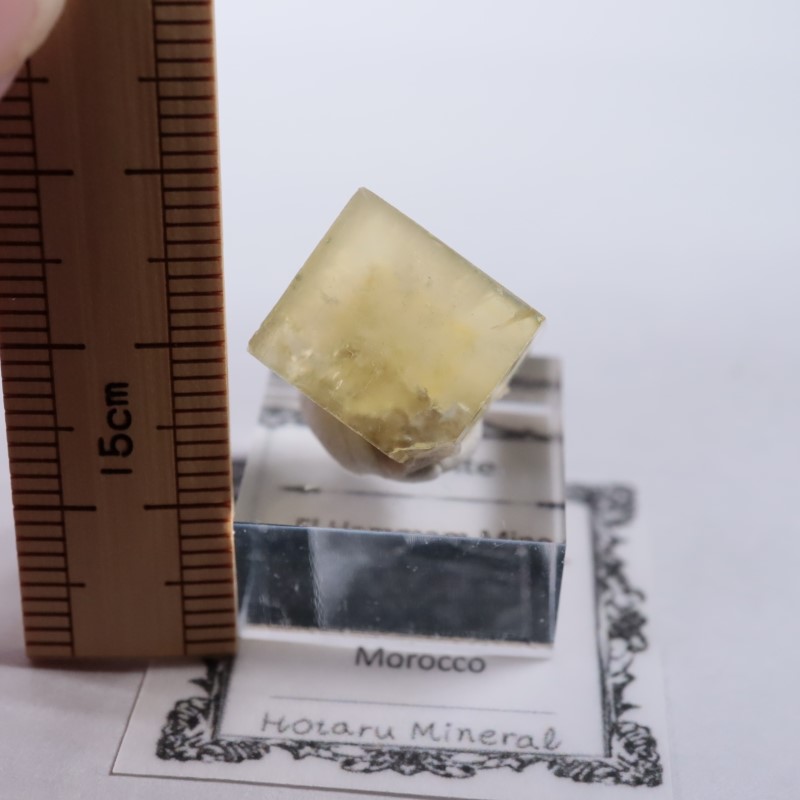 ����å������ե����饤��