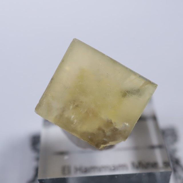 ����å������ե����饤��